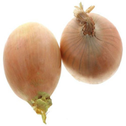 *PRODUIT BLOQUE* OIGNON JAUNE 60/80 10KG